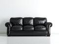 Canapé droit - Cuir synthétique - 250 x 100 x 90 cm - Noir - Style contemporain